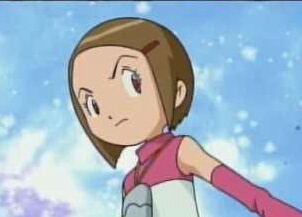 Hi! I'm Kari and I hold the crest of light! My partner is Gatomon, and I guess Davis is jealous because I hang out with T.K!