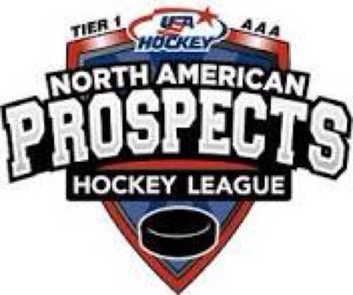 North American Prospects Hockey League. Who really knows what's going on?