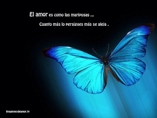 Madre, hija, hermana, empresaria,psicóloga,maestra, chacha,enfermera,espía,consejera amiga cómplice y muchas cosas mas!!!:)