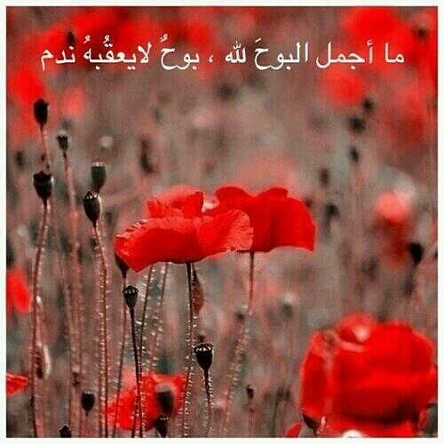 يارب يسر امري .واثلج قلبي برضاك