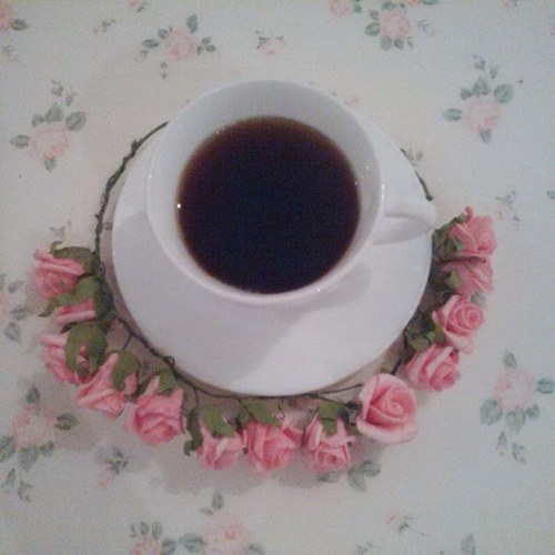Instagram : nofan_
