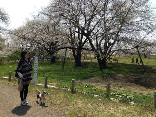 専業主婦してます。 
双子の男の子のお母ちゃんです(*^_^*)
