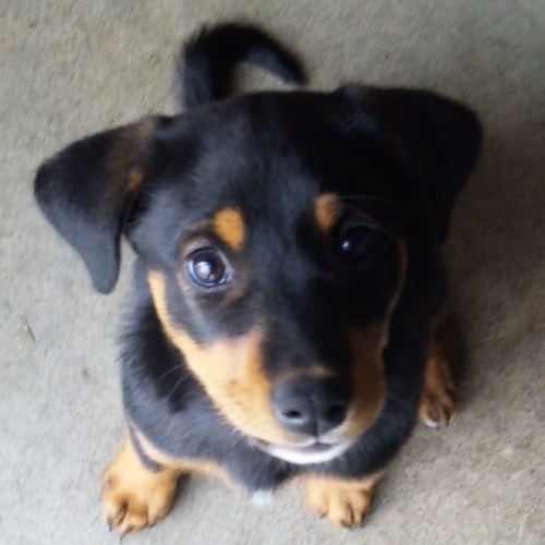 aym_25's profile picture. 