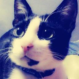 I am PP. My dream is to be a professional model. Born on August 17, 2012.