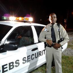 Professional Unarmed and Armed Security