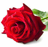 Make it positive. To love truly is to live honestly