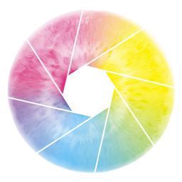 #postproduction #colorist #colorgrading #colorgrade #davinciresolve  #cinematography #dop #coloristsocietyinternational