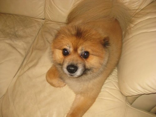 kiwa_raindrops's profile picture. 趣味・雑感等ゆるく書いています。
最近はゴルフとWordPressの勉強が興味。