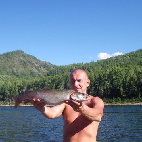Fishing.
Photo trophies from fishing.
Рыбалка. Фото трофеев с рыбалки. Приложение Дневник рыболова в мобильном.