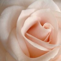 سُعاد أحمد ..  (@ahmadsuaad) Twitter profile photo