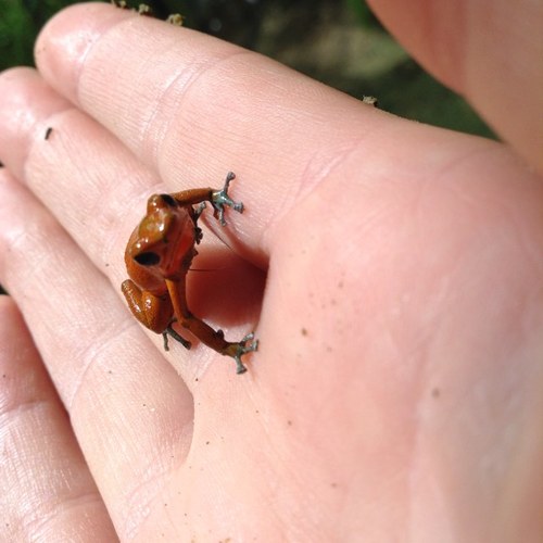 Mopricompa's profile picture. 