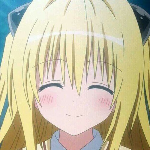 ToLoveる大好きさんのプロフィール画像