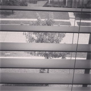 court_court3's profile picture. 