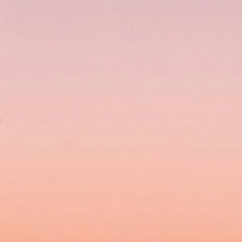 _sweetdreamerr's profile picture. 