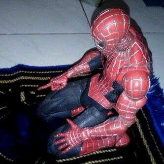 Help the weak, Suppress crime. . 
Who am I?  I was Spiderman