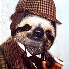 noahk3lly's profile picture. 