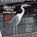 Barbican Life (@barbicanlife) Twitter profile photo