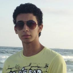 Mechatronics Engineer