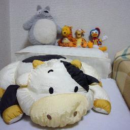 kishi_hashi's profile picture. 昭和２２年生まれ、５６歳の時、電機メーカーを早期退職し、現在化学工業の役員として頑張ってます。