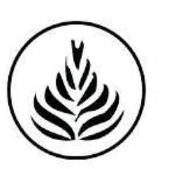 Online retailer of electronics, homewares, kitchenware, tools and auto accessories.