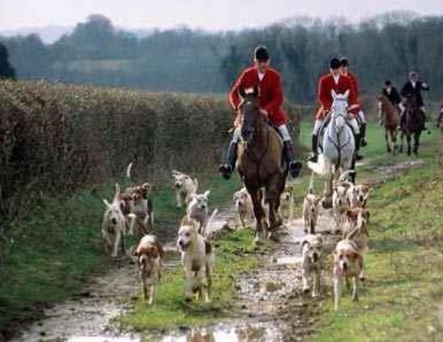 Simple: A farmer in Ireland who loves to go hunting. Just sharing a bit of that life.