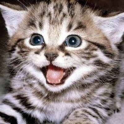 Reric Christine Christine Reric Twitter