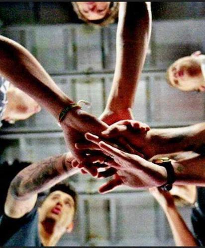 We are True Directioners! Follow us if you are True Directioners. Always support 5 idiots who called ONE DIRECTION :D Share anything about 1D :) xx