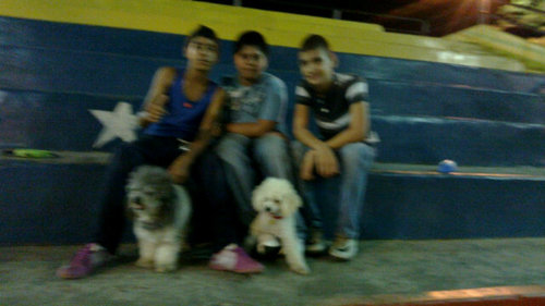 O.o sigueme! y te sigo;$ Coleoo