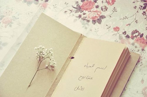 nourah_a's profile picture. 