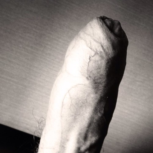 doctorpolla's profile picture. 