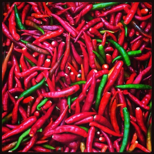 colo_rebel's profile picture. 