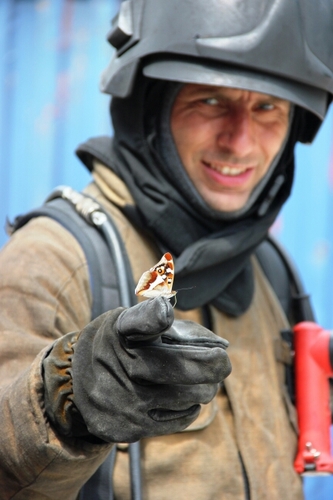 corijn1's profile picture. 