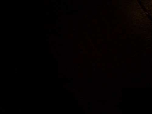 comped2013's profile picture. instructor