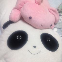 futurekiss1015's profile picture. 好きなもの：capsule(CAPSULE)。倉木麻衣。HOMEMADE家族。音楽。chokichoki/ファッション天パの高校生です。