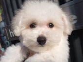 mocco49's profile picture. ☆せんだいガール☆