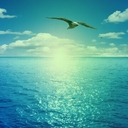 ملغي (@09876Rams) Twitter