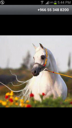 اﻻ بذكر الله تطمئن القلوب ♡♥