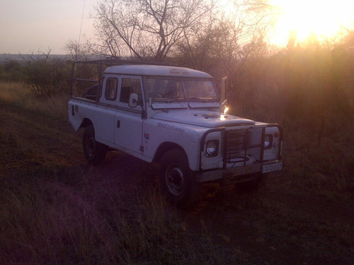 Frikbot's profile picture. 