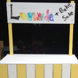 Tosa kids selling lemonade and baked goods.  :)
