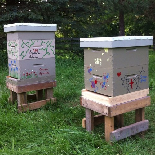 we have entered the amazing world of bees and beekeepers.  It is our privilage to work with these amazing creatures, and to share this journey with you.