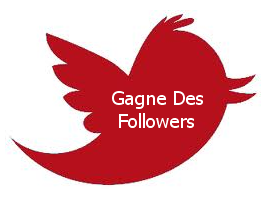#FollowBack ; Suis mes abonnés et ils te suivront en retour! #TeamFollowBack