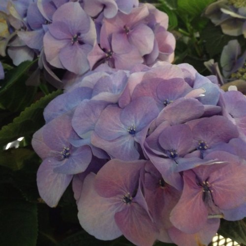 gbeana28's profile picture. 