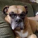 Frank Garrett - @FranerGarrett - Twitter