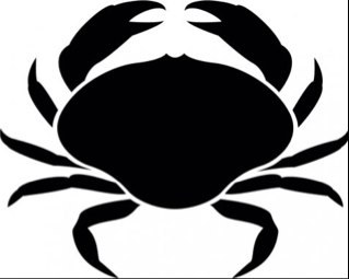 A Twitter account for Salcombe Rugby Football Club run by supporters