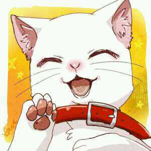 カエデさんのプロフィール画像