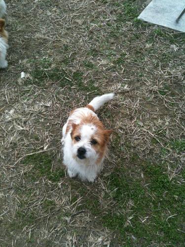 산그림자 Profile