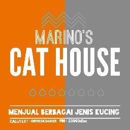 marinoscathouse's profile picture. Jual Beli Kucing . Call/Tex : 08985604018 . Pin : 23993DBC