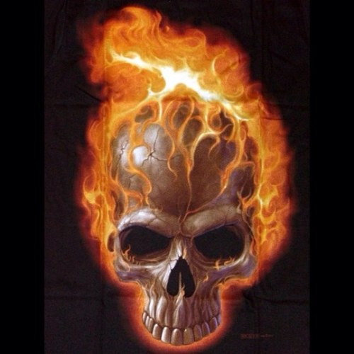 Fuzzylogic1M's profile picture. 