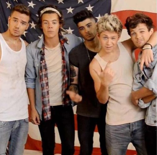 Im in love with a band that goes by the name of One Direction i will forever be a crazy mofo