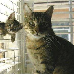 love my family, cats, reading/watching true crime, walking and gardening..